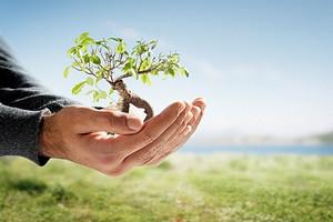 Patentini Fitosanitari