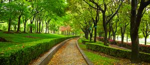 OPERATORE MANUTENTORE DEL VERDE